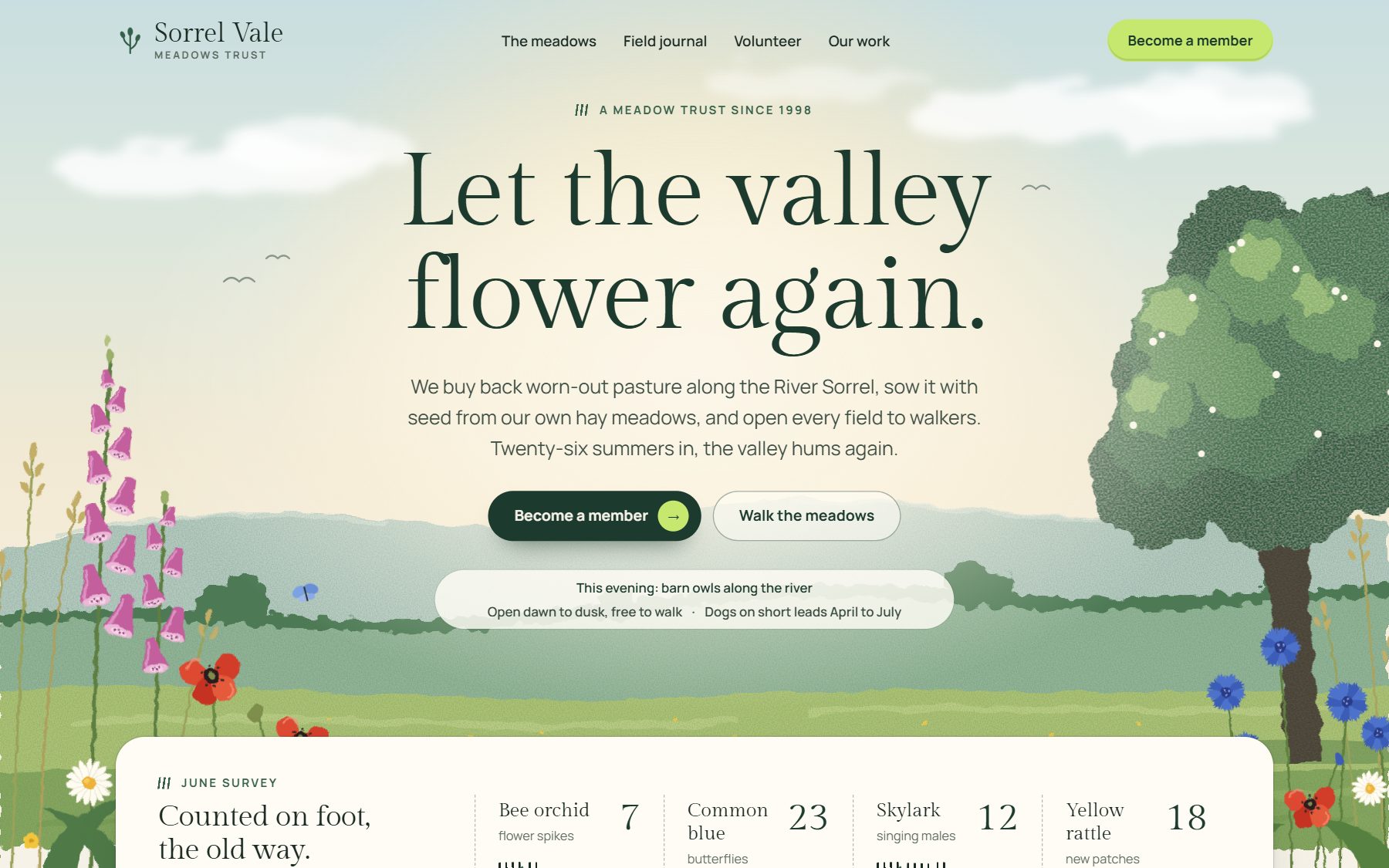A meadow trust website in one of Doko's designs: the headline Let the valley flower again, over a painted valley full of wildflowers.